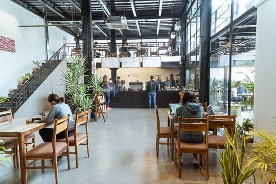 Pink City & Digital Nomads: Jaipur's Emerging Remote Work Scene